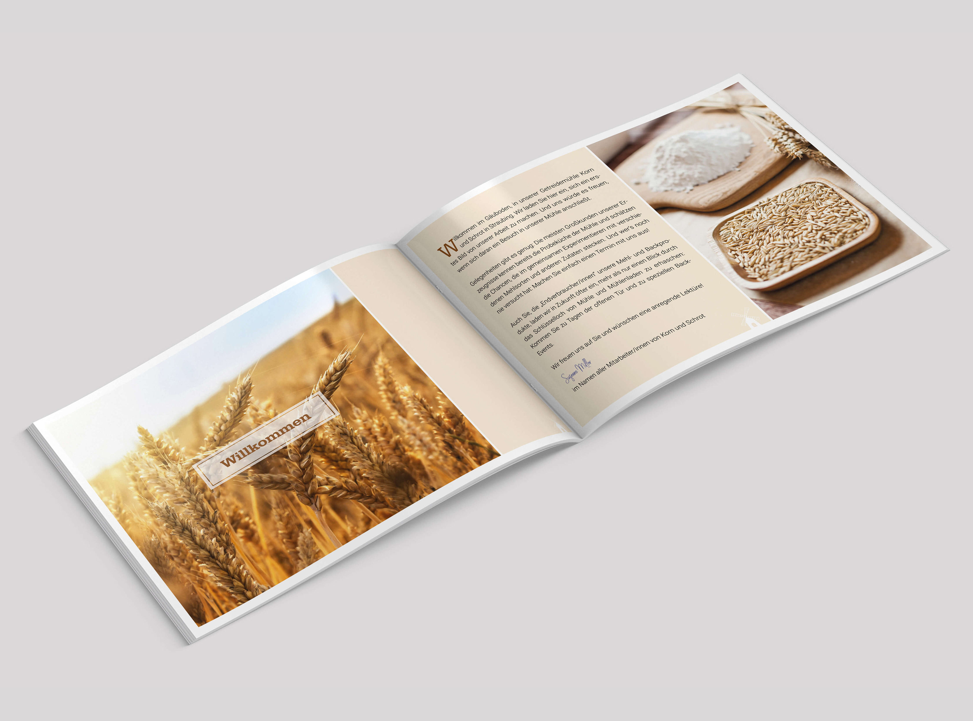 brochure